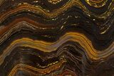 Polished Tiger Iron Stromatolite Slab - Billion Years #314308-1